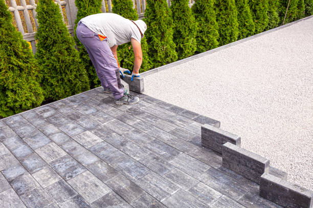 Best Driveway Paving Company  in The Hills, TX