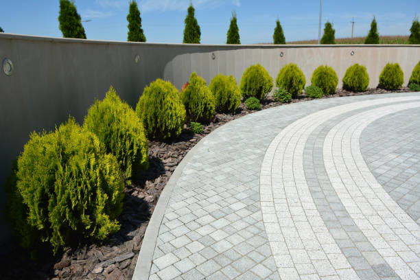 Best Driveway Pavers Cost  in The Hills, TX